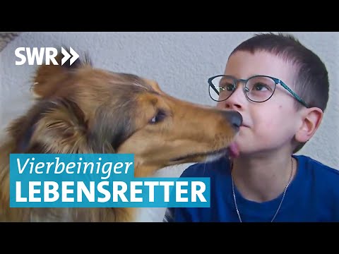 Kein normales Haustier: Epilepsiehund Ganja