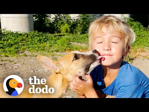 5-Year-Old Boy Insists On Rescuing Abandoned Puppies | The Dodo