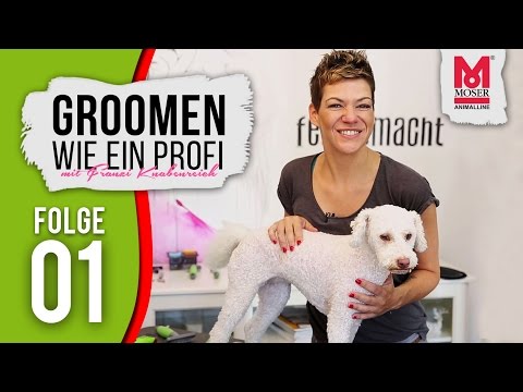 Groomen wie ein Profi mit Franziska Knabenreich &amp; MOSER - E01