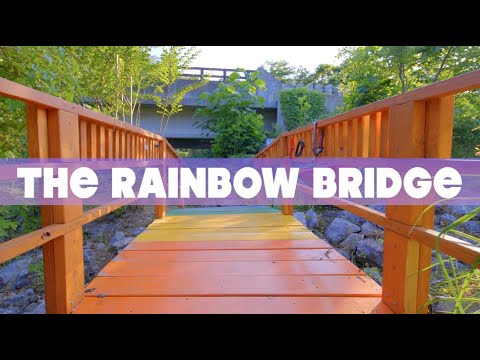 The Rainbow Bridge @ The Flowering Bridge - Amy Wald