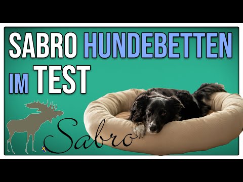 Sabro Kudde + Snuggle Hundebett Test, Review, Unboxing - Stadtfelle Produkttest