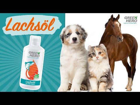 Lachsöl für Katzen, Hunde und Pferde