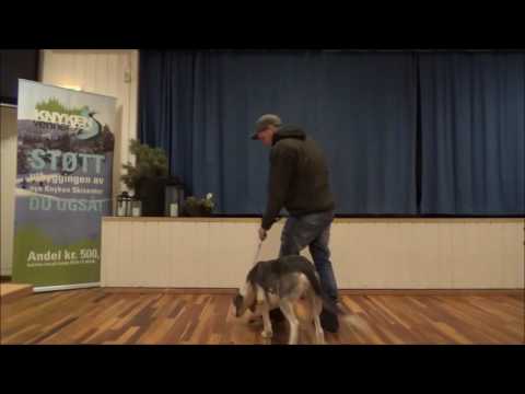 Deltagerne på Dunkerpokalen 2016
