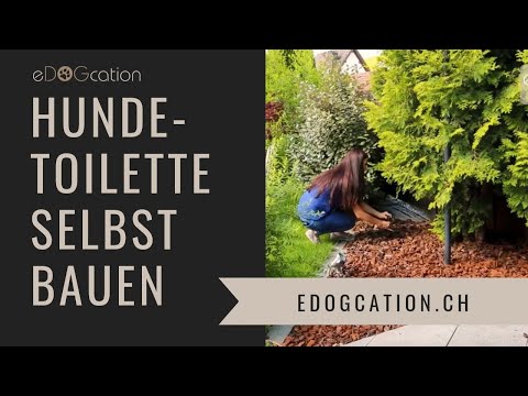 Hundeklo: Hundetoilette im Garten einrichten - Hunde-WC selbst bauen