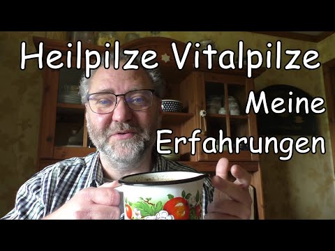 Heilpilze Vitalpilze 7 Meine Erfahrungen