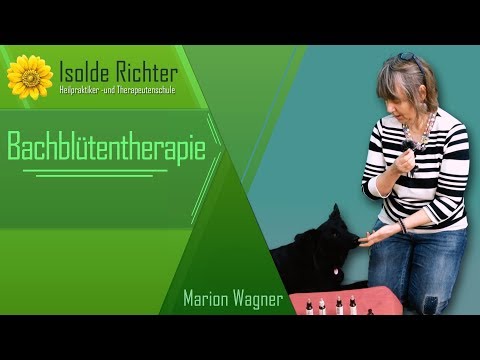 So findest du die richtigen Bachblüten für Hunde und Katzen