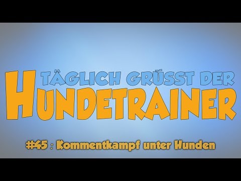 TGH 45 : Kommentkampf unter Hunden