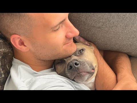 Pitbull adopter says no one tells you breed is so...