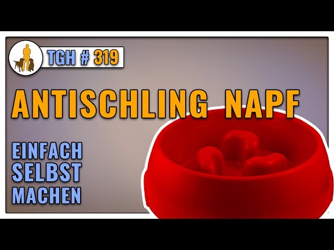 Anti Schling Napf selbst machen - Wie sinnvoll sind Anti-Schling-Näpfe wirklich? - TGH 319