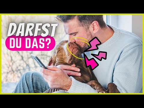 Wenn sich dein Hund DAS gefallen lässt, hast du sein Herz gewonnen!
