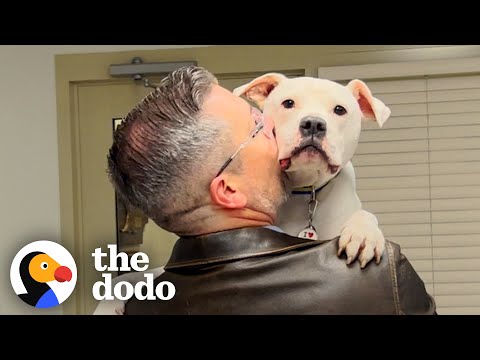 Guy Adopts &#039;Broken&#039; Dog | The Dodo