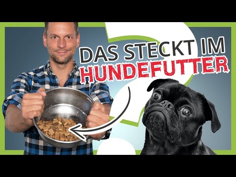 Was steckt wirklich im HUNDEFUTTER? [Die unbequeme Wahrheit]