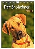 Der Broholmer (Wandkalender 2024 DIN A4 hoch), CALVENDO Monatskalender: Kalender für Fans dieser...