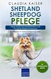 Shetland Sheepdog Pflege: Pflege, Ernährung und Krankheiten rund um Deinen Shetland Sheepdog