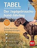 Der Jagdgebrauchshund-Jährling: Sicher durch die Anlagenprüfungen: Empfohlen vom...