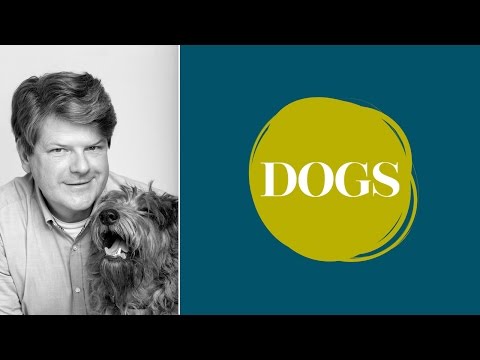 Dr. von Manteuffel über: Warum hat mein Hund Schuppen?