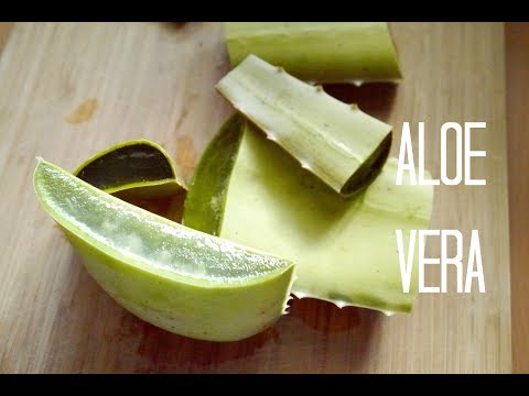 DIY Aloe Vera Gel ! |&amp; Verwendung - Leave in, Maske , Lotion
