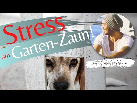 Stress am Gartenzaun! Wenn der Hund im Garten pöbelt inklusive Lösungsweg! Profi-Tipps!