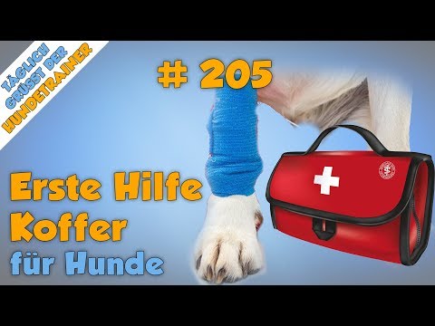 Erste Hilfe Kasten für Hunde (Was ihr wirklich für den Notfall braucht!💊)- TGH 205