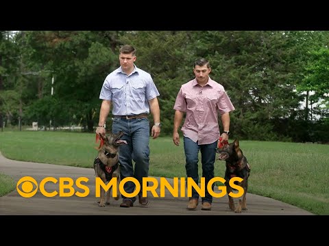 Marines reunite with their beloved service dogs