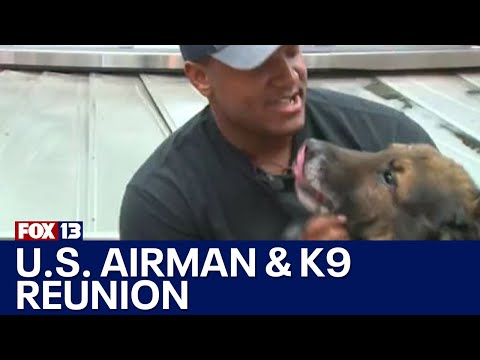 U.S. airman reunites with military dog