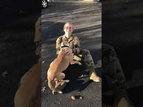 Dog Can&#039;t Believe He&#039;s Really Seeing His Mom Again