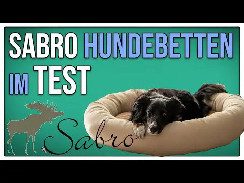 Sabro Kudde + Snuggle Hundebett Test, Review, Unboxing - Stadtfelle Produkttest