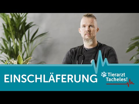 Einschläferung | Tierarzt Tacheles mit Sebastian Goßmann-Jonigkeit | ZooRoyal