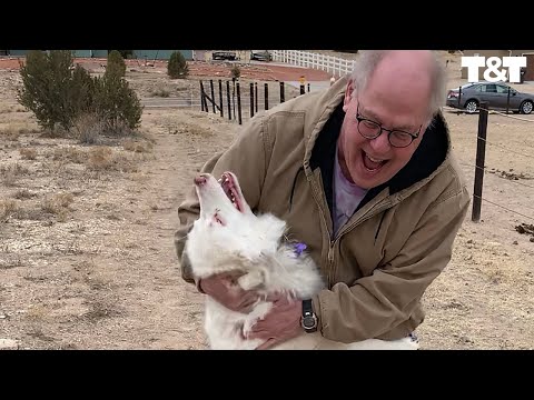 Deaf And Blind Dog Instantly Recognizes Returning Grandpa