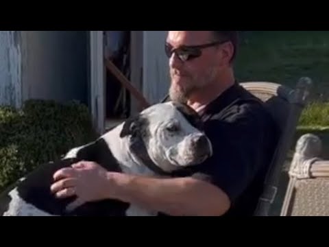 Lonely dog is so happy to finally have a family