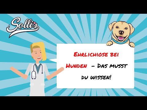 Ehrlichiose beim Hund | Symptome, Ursachen &amp; Behandlung