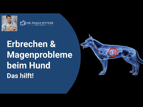 Erbrechen &amp; Magenprobleme - warum Säureblocker bzw. Magenschutz-Tabletten genau das Falsche sind!