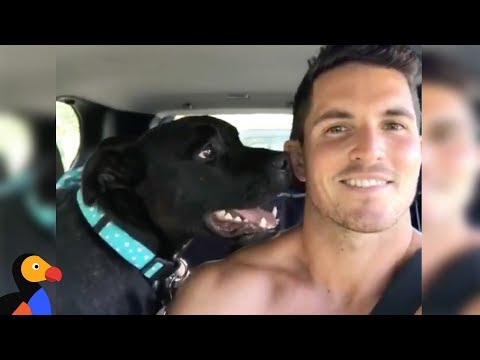 Talking Dog&#039;s Unique Barks Helps Him Get Adopted - DENNIS | The Dodo