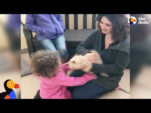 Dog Reunited with Family Gets So Happy After She Recognizes Their Scent | The Dodo