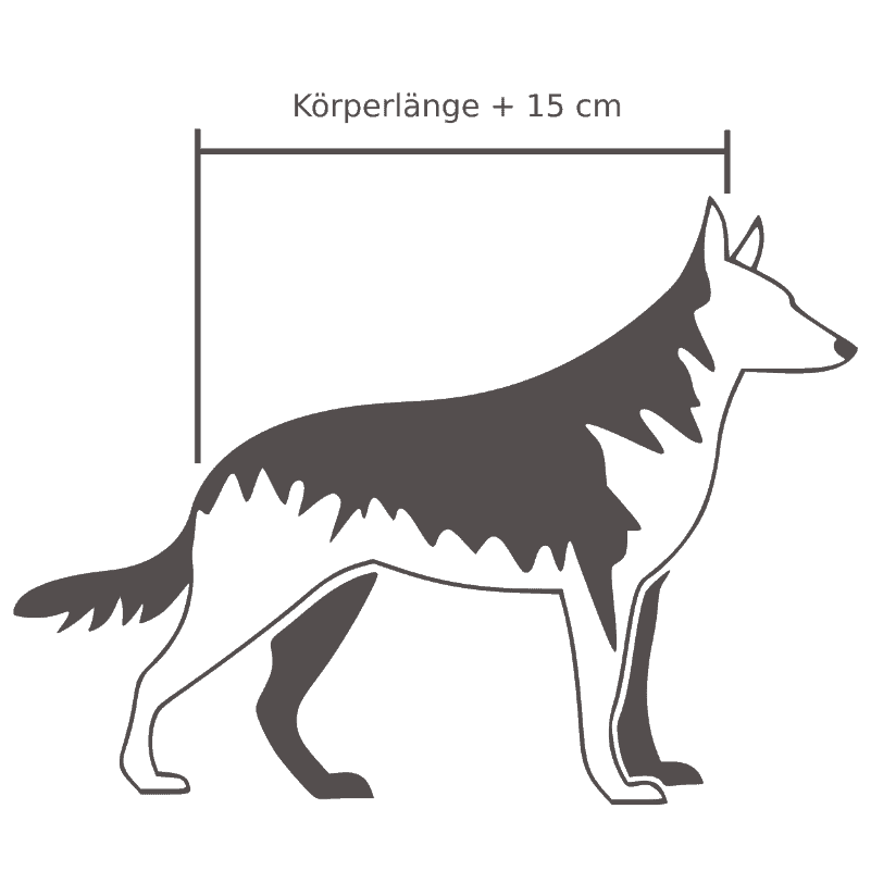 Hund vermessen