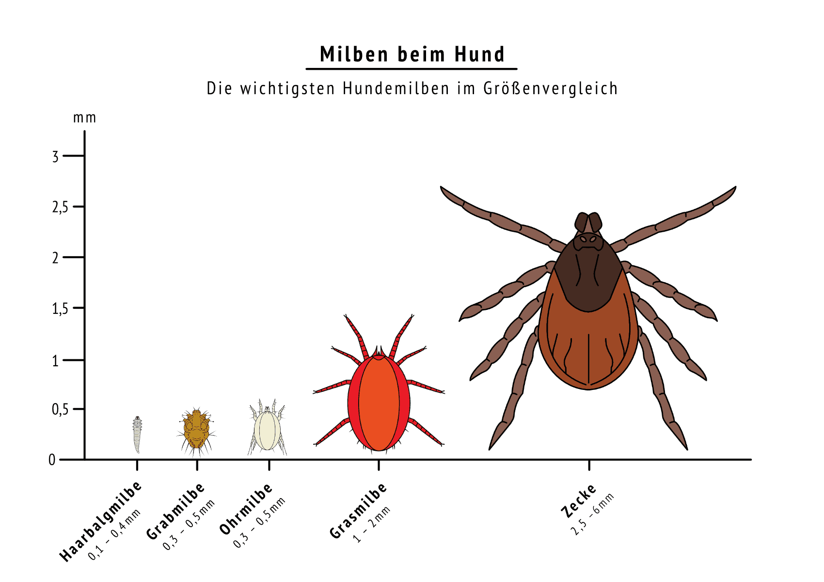 Milben beim Hund erkennen, behandeln, verhindern