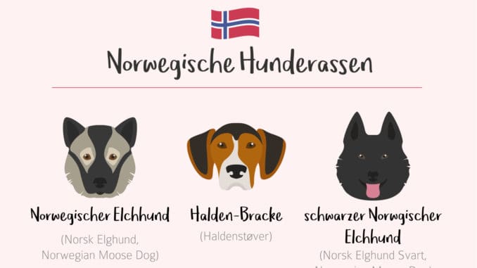 Norwegische Hunderassen