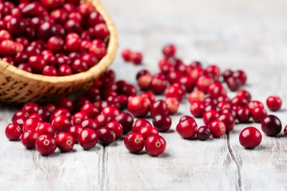 Cranberrys im Weidenkorb
