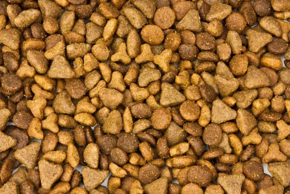 Hundefutter