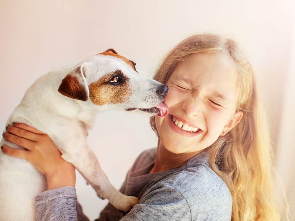 Hund leckt Gesicht ab bei einem Kind