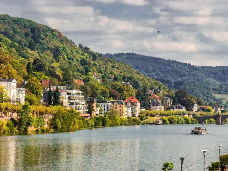 Die 7 besten Hundefriseure in Heidelberg und Umgebung