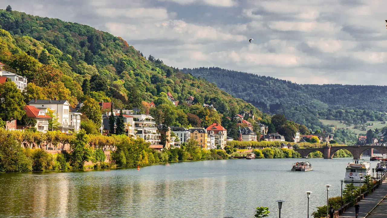 Die 7 besten Hundefriseure in Heidelberg und Umgebung