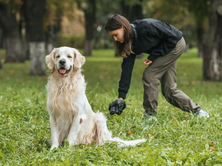 8 Methoden um Lungenwürmer beim Hund vorzubeugen