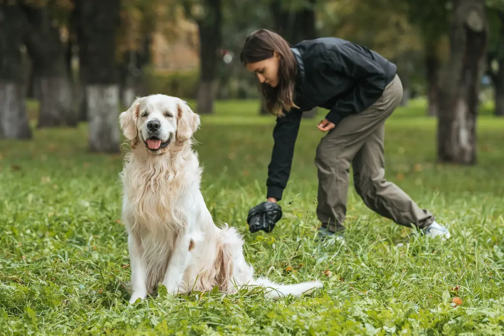 Lungenwürmer beim Hund vorbeugen