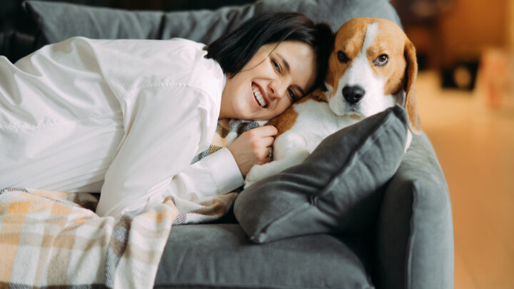 Bellos Reich - Online Hunde Magazin