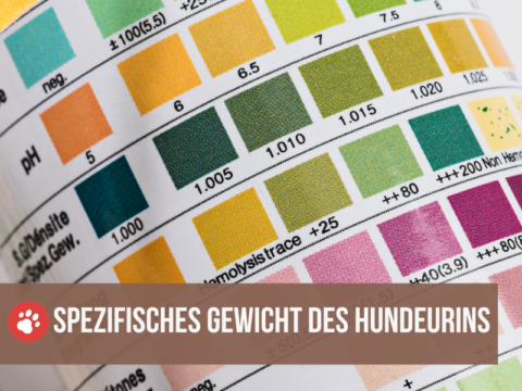 BOROCO Refraktometer Für Haustierurin - Misst Nierenfunktion Bei Hunden & Katzen