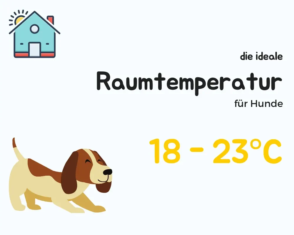 ideale raumtemperatur für hunde 18-23C
