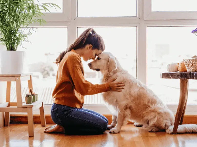 Bindung zu deinem Hund stärken: 6 Tipps für eine unzertrennliche Freundschaft