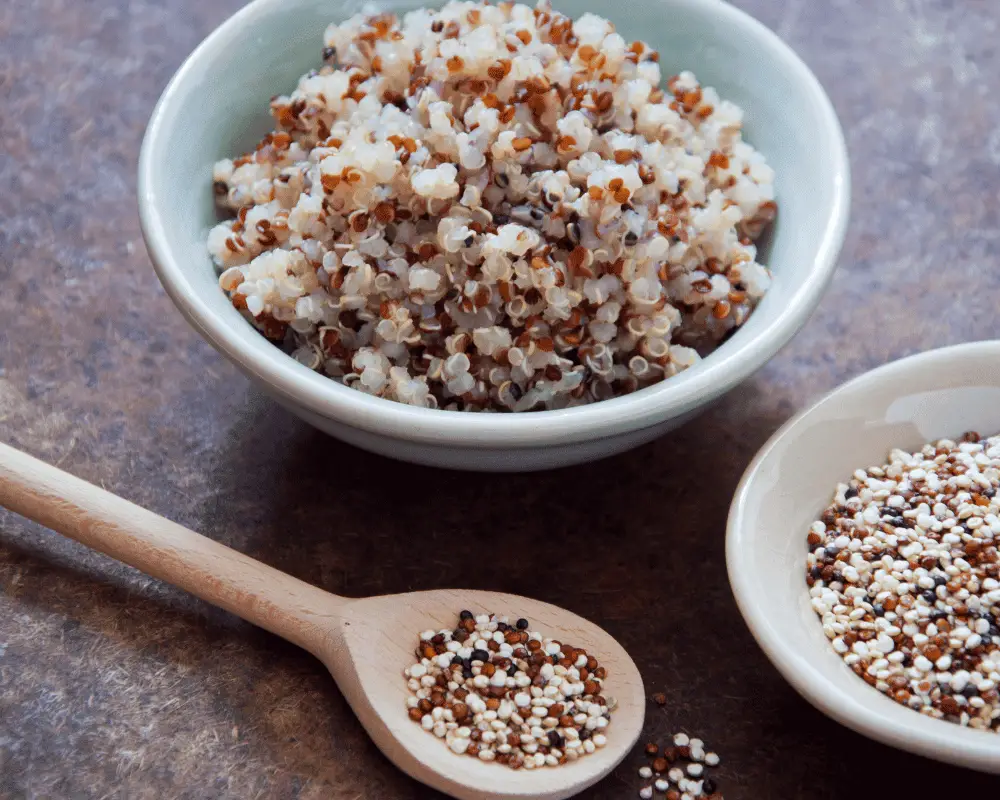 quinoa für hunde