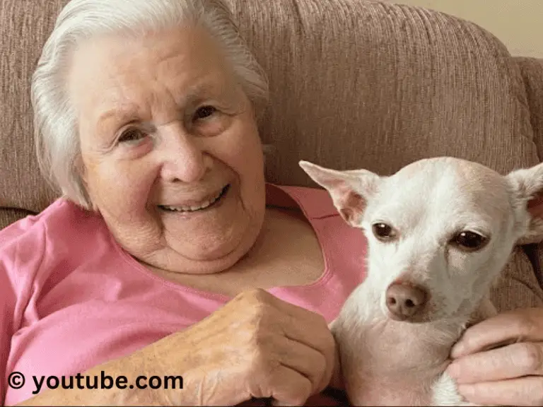 100 jährige Frau rettet Senior Hund „Gucci“ aus dem Tierheim